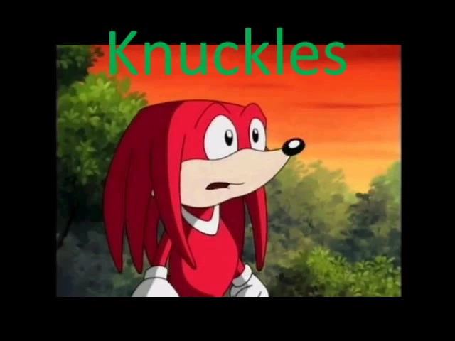 knuckles and sonia every time we touch